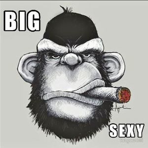 Meet your Posher, Donny